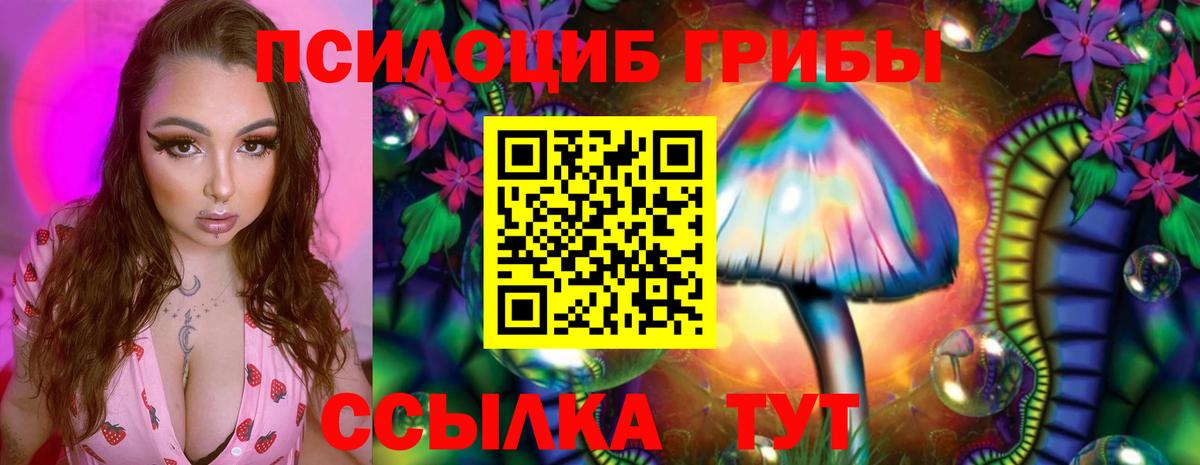 Верхний Уфалей  Галлюциногенные грибы GOLDEN TEACHER  Вход с VPN 